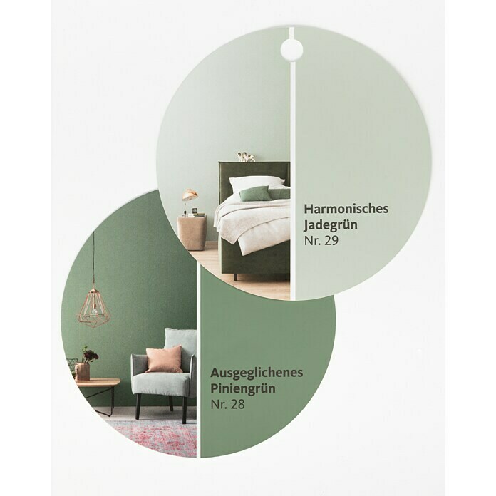 Schöner Wohnen Wandfarbe (Ausgeglichenes Piniengrün, 2,5 l, Feinmatt)