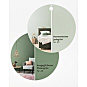 Schöner Wohnen Wandfarbe Designfarbe (Ausgeglichenes Piniengrün, 2,5 l, Feinmatt)