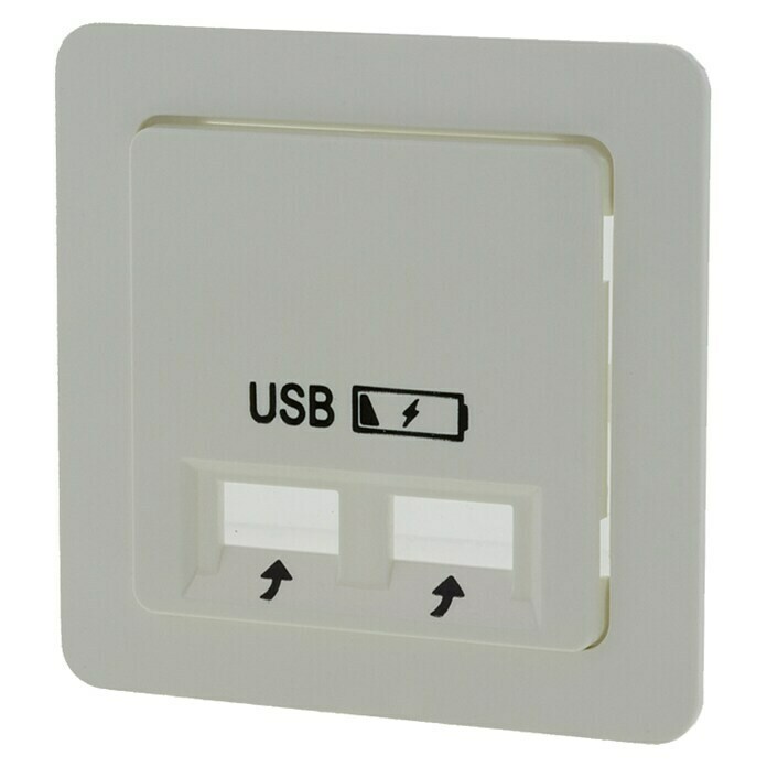 Reizende handelaar Verlaten kiezen Peha Wandcontactdoos met USB Polarwit (Wit, Kunststof) | BAUHAUS