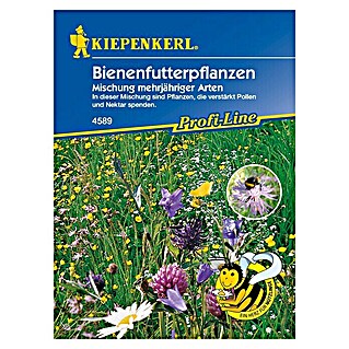 Kiepenkerl Profi-Line Blumensamenmischung Bienenfutterpflanze (Verschiedene Sorten, Blütezeit: Juni, 5 m² - 8 m²)