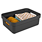 Sunware Sigma home Opbergbox (l x b x h: 35 x 24,6 x 12,2 cm, Kunststof, Antraciet) | BAUHAUS