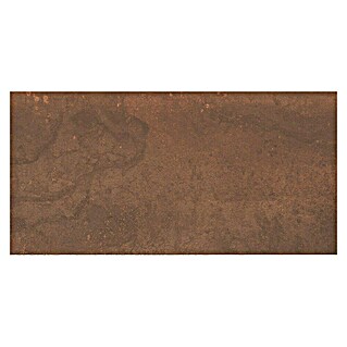 Oxyd Feinsteinzeugfliese Oxyd (60 x 120 cm, Rost, Schimmernd)
