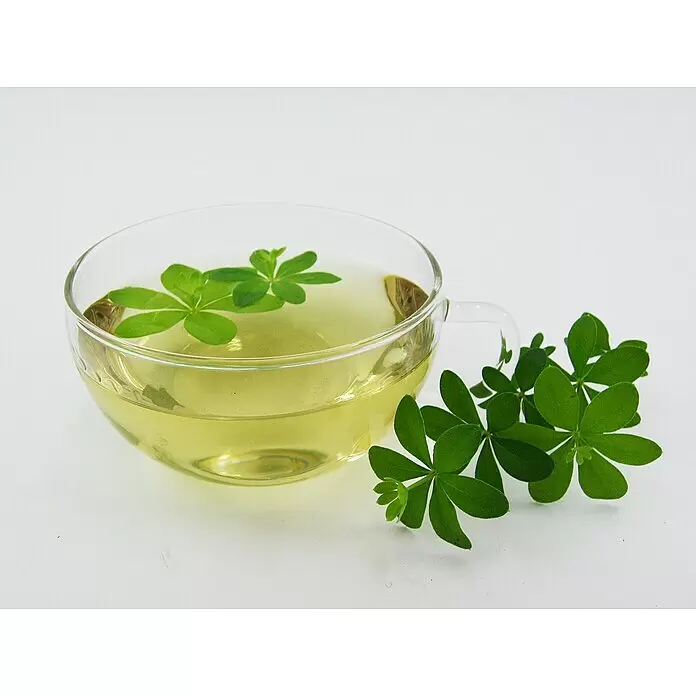 Blu Bio Waldmeister - Galium odoratum - Stimmungsaufnahme