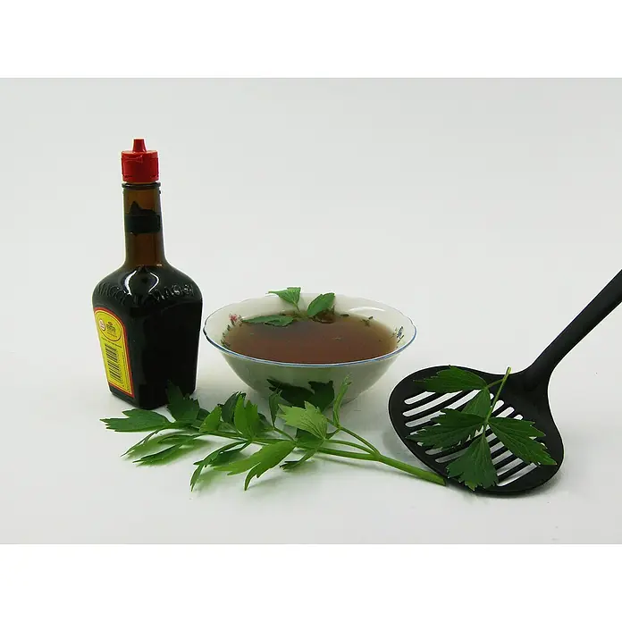 Blu Bio LiebstöckelLevisticum officinale - Eine Flasche Maggi Würze neben einer Schüssel Brühe mit frischen Kräutern und einem Schöpflöffel.