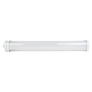 Ritter Leuchten LED-Feuchtraumlichtleiste Omega (L x B x H: 50 cm x 5,6 cm x 61 mm, Lichtfarbe: Tageslichtweiß, 18 W, IP65)