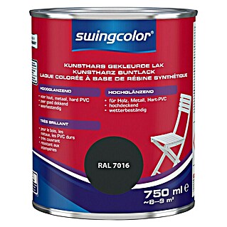 swingcolor Kleurlak (Antracietgrijs, Hoogglans, 750 ml)