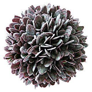 Kunstpflanze Bux (Lila, Durchmesser: 10 cm)