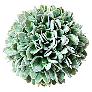 Kunstpflanze Bux (Grün, Durchmesser: 10 cm)