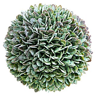 Kunstpflanze Bux (Grün, Durchmesser: 14 cm)