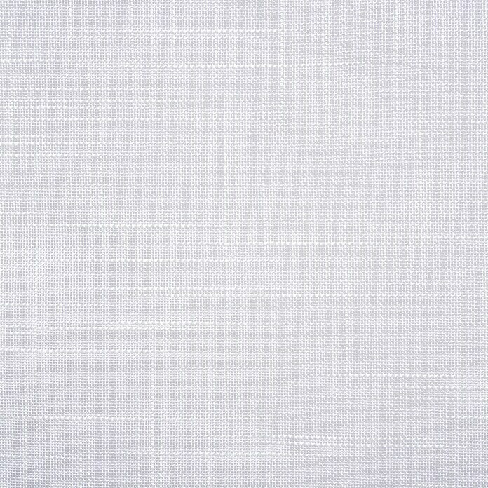 Estor enrollable Paqueto Linum (An x Al: 75 x 175 cm, Blanco, Unicolor)