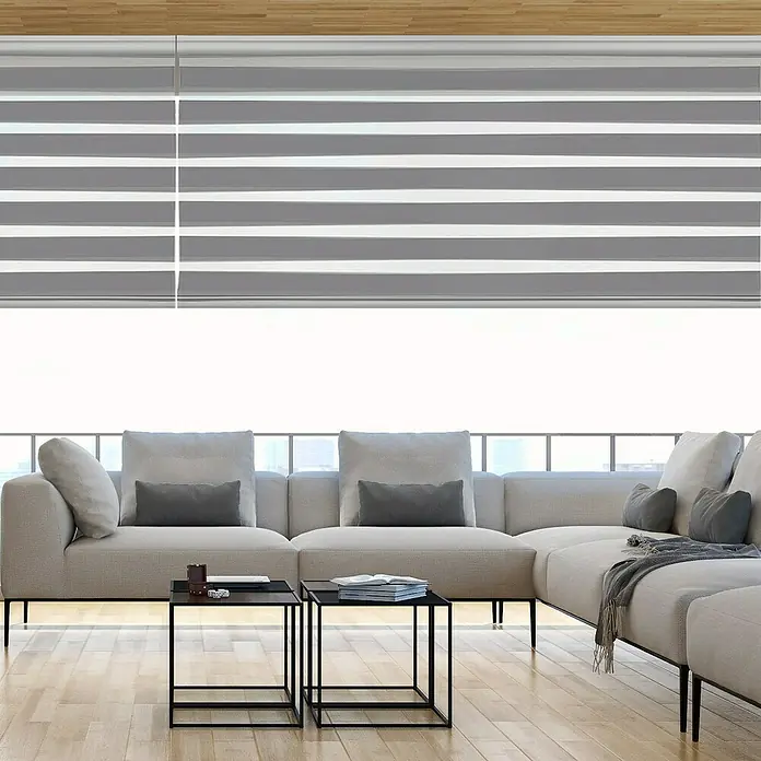 Estor noche y día Platinum - An x Al: 80 x 250 cm, Plateado - Un salón moderno con estores enrollables dúo grises y blancos que filtran la luz brillante y garantizan la privacidad. Los estores son un reclamo.