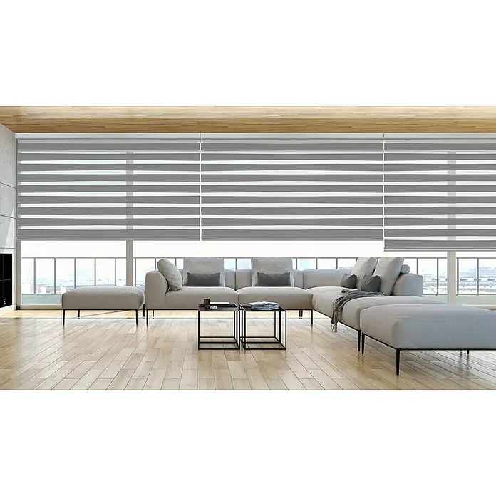 Estor noche y día Platinum - An x Al: 80 x 250 cm, Plateado - Estores modernos con rayas horizontales en gris y blanco, que ofrecen una decoración elegante de la ventana y control de la luz.