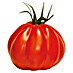 Piardino Tomate 'Corazon' 