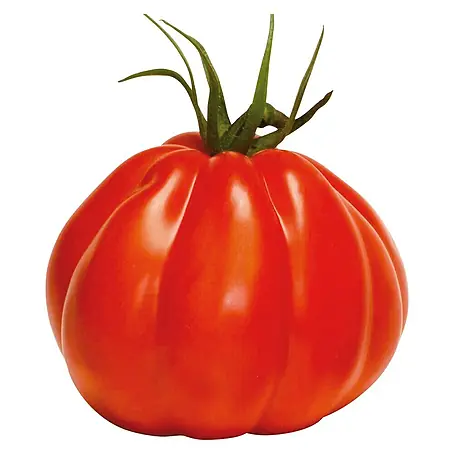 Piardino  Tomate 'Corazon'