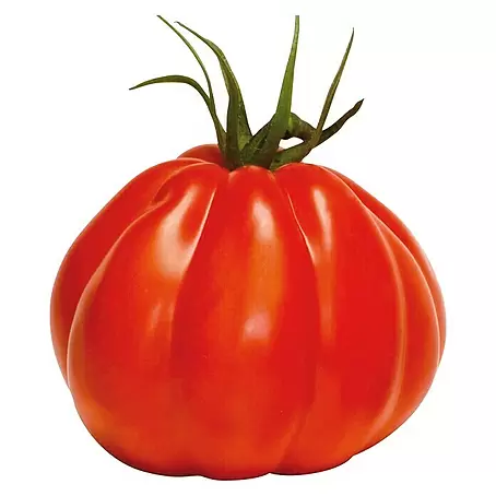 Piardino  Tomate 'Corazon'