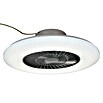 Voltomat Deckenventilator mit LED-Beleuchtung (Silber, Weiß, 60 cm, 40 W, Warmweiß) | BAUHAUS