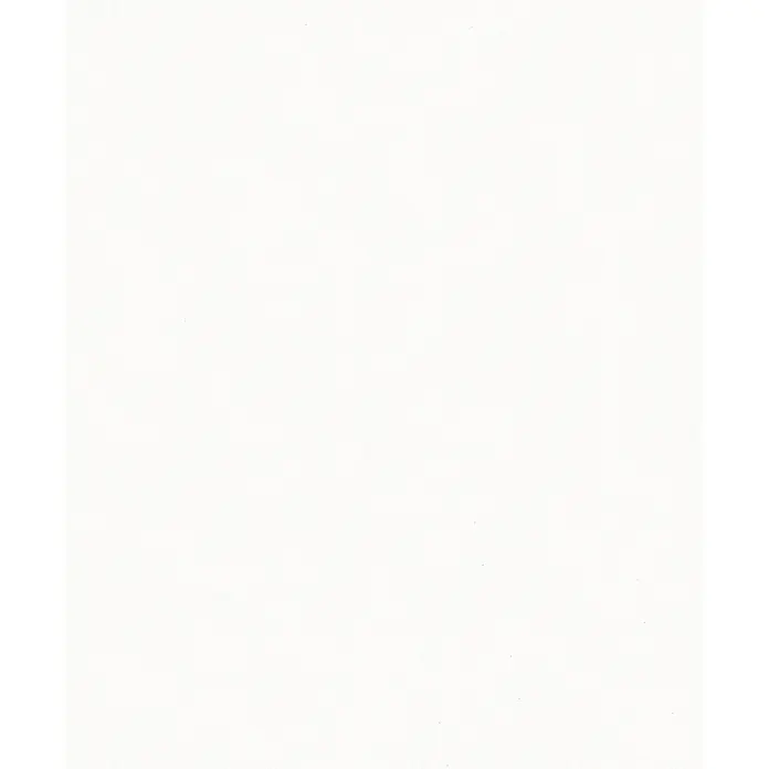 SCHÖNER WOHNEN-Kollektion New Spirit Vliestapete - Schimmerweiß, Uni, 10,05 x 0,53 m - Eine leere, weiße Leinwand oder ein Blatt Papier, das auf kreative Projekte und unbeschriebene Möglichkeiten wartet.