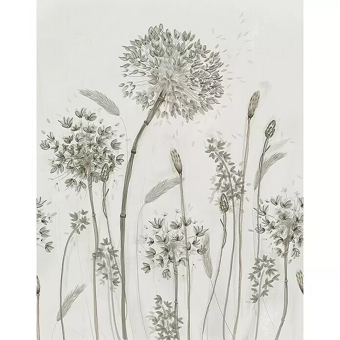 SCHÖNER WOHNEN-Kollektion New Spirit Fototapete Digitaldruck - 212 x 270 cm - Stilisierte botanische Tapete mit zarten Alliumblüten und Gräsern in Monochromtönen für elegante Dekoration.