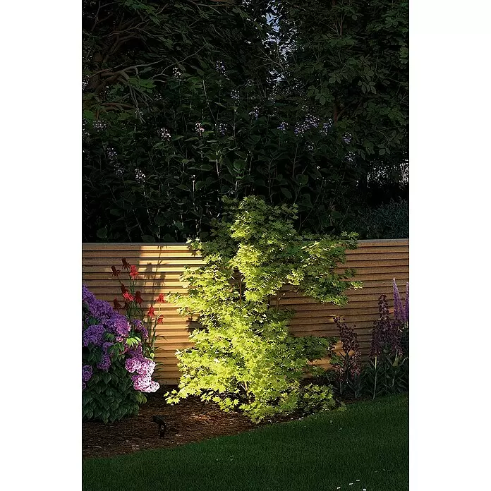 Paulmann Plug & Shine LED-Gartenspot-Set Sting Erweiterung - 6 W, Anthrazit, 24 V, 3 Stk., Ø x H: 5,2 x 29 cm - Stimmungsaufnahme