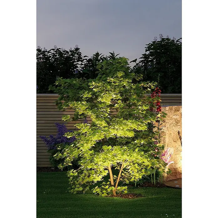 Paulmann Plug & Shine LED-Gartenspot-Set Sting Erweiterung - 6 W, Anthrazit, 24 V, 3 Stk., Ø x H: 5,2 x 29 cm - Ein beleuchteter Ahornbaum im Garten, umgeben von Blumen und Sträuchern, der eine warme und einladende Atmosphäre schafft.
