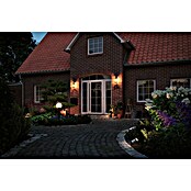 Paulmann Plug & Shine Basis-Set LED-Gartenstrahler Classic (5,1 W, Anthrazit, Ø x H: 8,8 x 26,5 cm, 230 V, Kabellänge: 5 m) | BAUHAUS