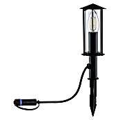 Paulmann Plug & Shine LED-Gartenstrahler Minipoller (Ø x H: 8 x 22 cm, 2 W, Anthrazit, IP44) | BAUHAUS