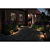 Paulmann Plug & Shine Foco de jardín LED Minipoller (Ø x Al: 8 x 22 cm, 2 W, Antracita, IP44) | BAUHAUS