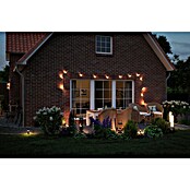 Paulmann Plug & Shine Foco de jardín LED Minipoller (Ø x Al: 8 x 22 cm, 2 W, Antracita, IP44) | BAUHAUS