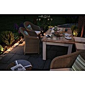 Paulmann Plug & Shine Foco de jardín LED Minipoller (Ø x Al: 8 x 22 cm, 2 W, Antracita, IP44) | BAUHAUS