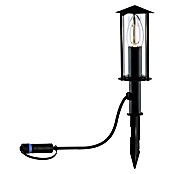 Paulmann Plug & Shine LED-Gartenstrahler Minipoller (Ø x H: 8 x 22 cm, 2 W, Anthrazit, IP44) | BAUHAUS