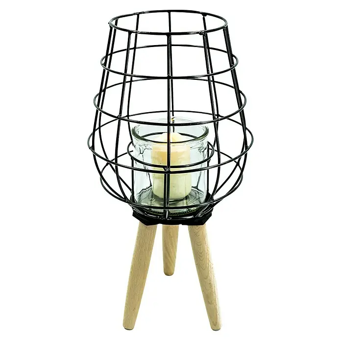 dicker bambus winterhart Bambus Campbell (Fargesia robusta 'Campbell') | 150-175 cm im Topf