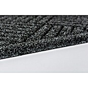 Astra Fußmatte Scraper Design (Anthrazit, 45 x 75 cm) | BAUHAUS