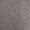 Verdunkelungsvorhang Day & Night (B x H: 135 x 245 cm, 100 % Polyester, Taupe) | BAUHAUS