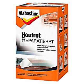 Alabastine Reparatieset Houtrot (3 -delig)