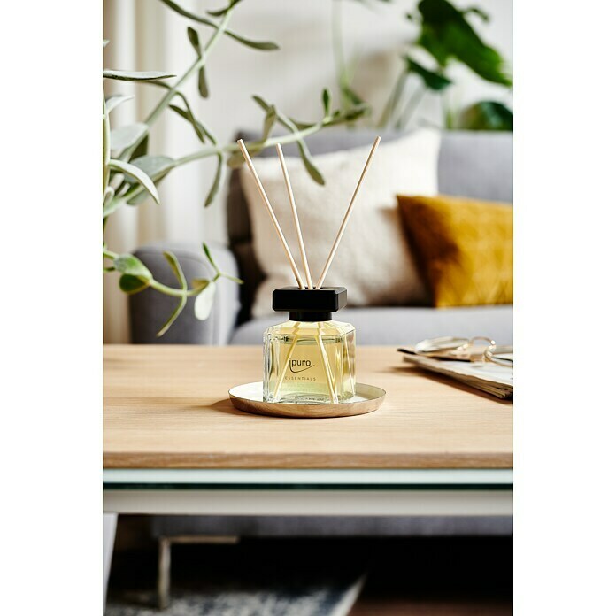 Ipuro Profumo Per Ambienti Lime Light – 100 Ml – Note Agrumate Di Bergamotto, Arancia, Geranio E Vaniglia – Diffusore Decorativo