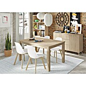 Muebles Pitarch Oslo Aparador (L x An x Al: 40 x 140 x 89 cm, Roble aurora, Número de cajones: 3 ud.) | BAUHAUS