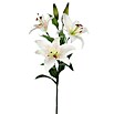Kunstblume Lilie (Höhe: 75 cm, Crema, Kunststoff) | BAUHAUS