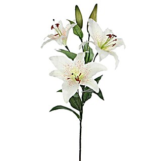 Kunstblume Lilie (Höhe: 75 cm, Crema, Kunststoff)