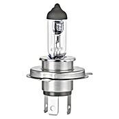 Formula 1® Hauptscheinwerfer-Lampen CL430 (H4, 2 Stk.) | BAUHAUS