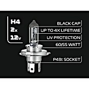 Formula 1® Hauptscheinwerfer-Lampen CL430 (H4, 2 Stk.) | BAUHAUS