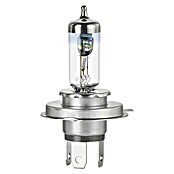 Formula 1® Hauptscheinwerfer-Lampen CL470 (H4, 2 Stk.) | BAUHAUS