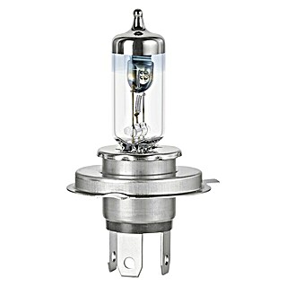 Formula 1® Hauptscheinwerfer-Lampen CL470 (H4, 2 Stk.)