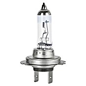 Formula 1® Hauptscheinwerfer-Lampen CL770 (H7, 2 Stk.) | BAUHAUS