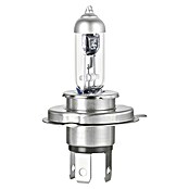 Formula 1® Hauptscheinwerfer-Lampen CL450 (H4, 2 Stk.) | BAUHAUS