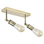 Home Sweet Home LED-Deckenleuchte Spy (6 W, L x B x H: 30 x 9,5 x 20,5 cm, Gold, Warmweiß, 2 Stk.) | BAUHAUS