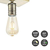 Home Sweet Home LED-Deckenleuchte Nitro (4 W, L x B x H: 30 x 9,5 x 10,5 cm, Bronze, Warmweiß, 2 Stk.) | BAUHAUS