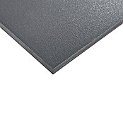 Bauallzweckplatte Fixmaß  (Anthrazit, 2.650 x 1.250 x 6 mm)