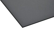 Bauallzweckplatte Fixmaß  (Anthrazit, 2.650 x 1.250 x 6 mm)