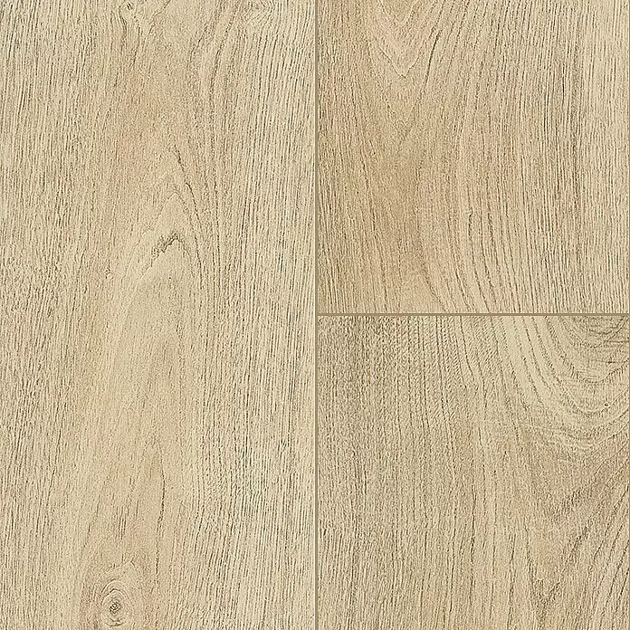 Harmonie by Palazzo Feinsteinzeugfliese - 20 x 120 cm, Creme, Matt - Detailaufnahme