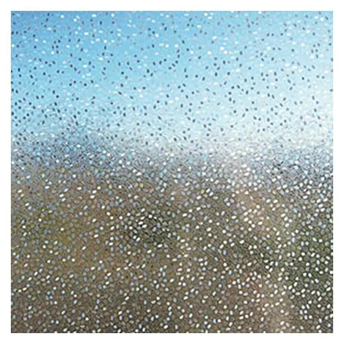 Lámina para ventana Gofrado Fix Rice Mini - 92 cm x 1,5 m, Transparente - Película decorativa para ventanas con puntos brillantes para privacidad y difusión de la luz.